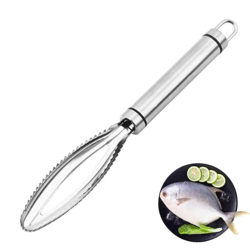 Stainless steel fish scaler