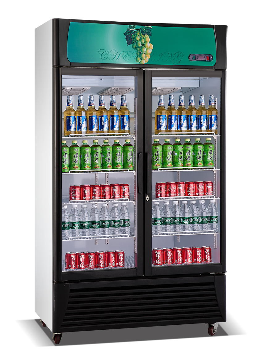 Beverage display cooler, 2 glass doors